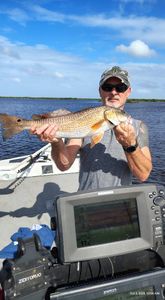 A fisherman catches a redfish in Brooksville