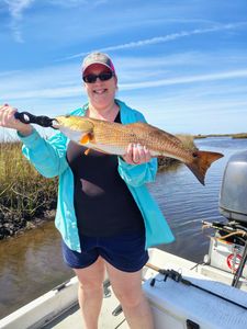 Redfish caught while fishing in Brooksville
