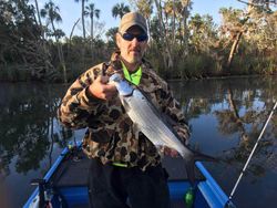 Tarpon fishing in FL