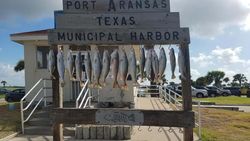 Aransas Bay Trout fishing