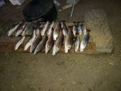 Redfish and Trout Fishing in Aransas Bay