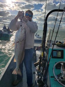 Large Redfish in Aransas Bay, TX