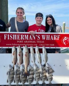 Explore the Gulf's bounty in Port Aransas Fishing