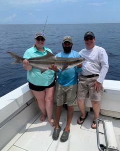 Cobia Trophy in Aransas Fishing Trip!