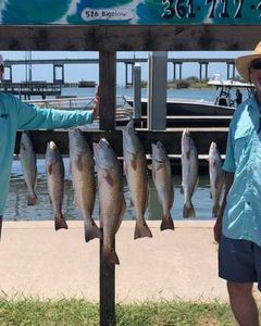 Catch Waves, Catch Fish: Port Aransas Charter Fun!