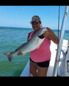 Inshore fishing in Port Aransas Redfish Trophy !