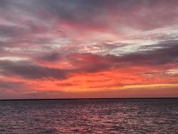 Breathtaking cruises and fishing adventures in TX