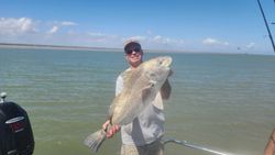 Photograph of a large, black drum fish caught while fishing in Texas