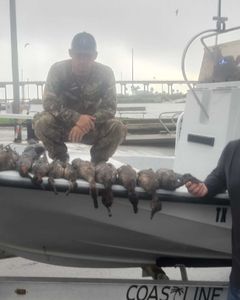 Duck Trophies in Port Aransas! Book now !