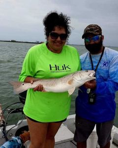 Inshore fishing in Aransas Redfish catch!