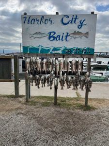 Fishing trip in TX