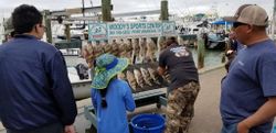 Premier Black Drum in Port Aransas Fishing 