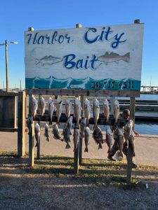 4 Largemouth Bass caught in Aransas Pass
