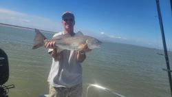 A redfish measuring 29 inches caught in TX.
