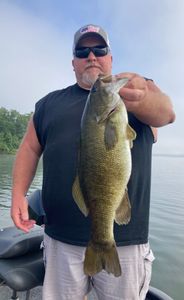 Giant Table Rock Smallmouth 5.7lbs!