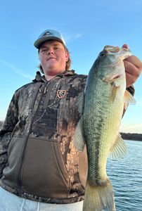 Great Largemouth on Table Rock!