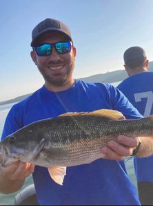 Angler with a 17-inch fish in Missouri