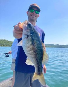 Angler's big catch in Branson