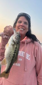 Caught a largemouth bass while fishing in MO