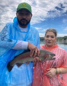 Lake Taneycomo Big Rainbow