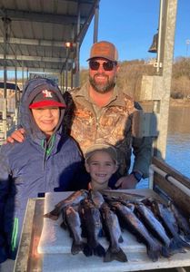 5 yellow bullhead fish caught in Branson, Missouri