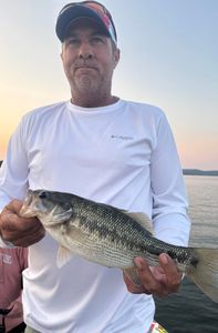 Angler fishing in Branson