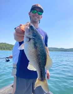 Magnum Table Rock Spot