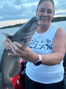 A gafftopsail sea catfish in a fishing scene in MO