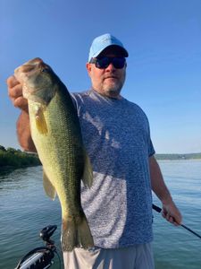 Largemouth Bass caught during fishing in Branson