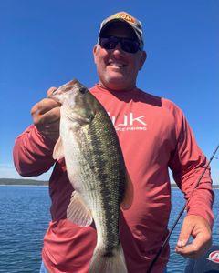 Lone angler fishing in Missouri