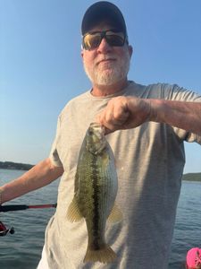 Spotted Bass caught while fishing in MO