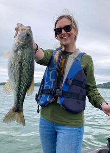 Spotted bass, 22 inches, caught while fishing in Branson