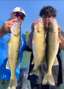 Looks like dinner! Walleye from The Rock