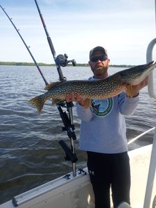 Northern pike catch displayed on fishing boat in Altmar NY