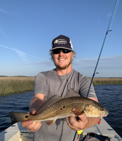 Redfish caught in Florida by fisherman