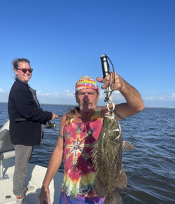 Tripletail fish caught while fishing in FL
