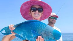 Gorgeous blue parrotfish reeled in NC waters!