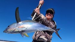 Shiny tuna reeled in NC!