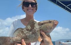 Red Grouper fish caught in NC