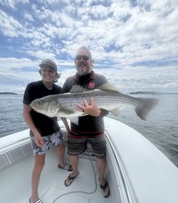 Striped Bass caught while fishing in MA