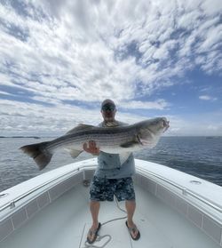 Striped bass fishing in MA