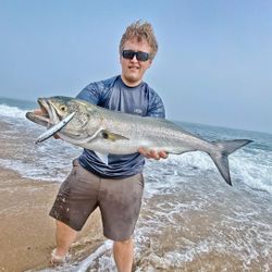 A single bluefish caught while fishing in Hingham
