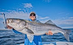 Impressive catch of a striped bass, 54 inches long, in MA