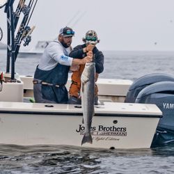 Striped bass, 34-inch fish caught while fishing in MA