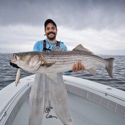 Striped bass fishing in MA