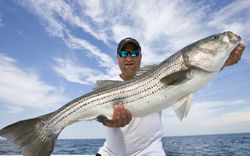 Striped bass caught by angler in MA
