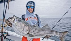 Striped bass fishing in MA