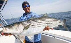 Striped bass caught in MA while fishing