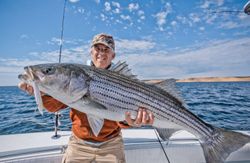 Striped bass caught in Hingham
