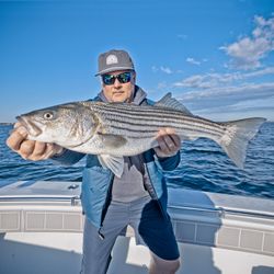 Striped bass caught in Hingham